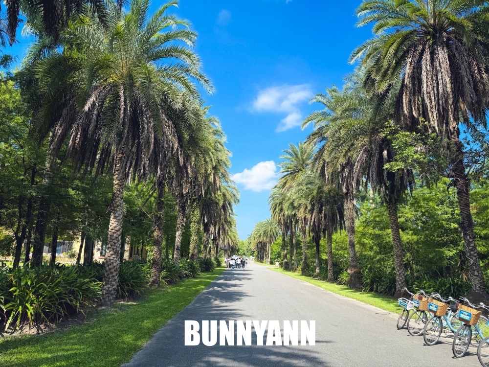 本來以為只是普通湖泊，沒想到蒂芬妮湖美得像仙境，連落雨松步道都意外好拍