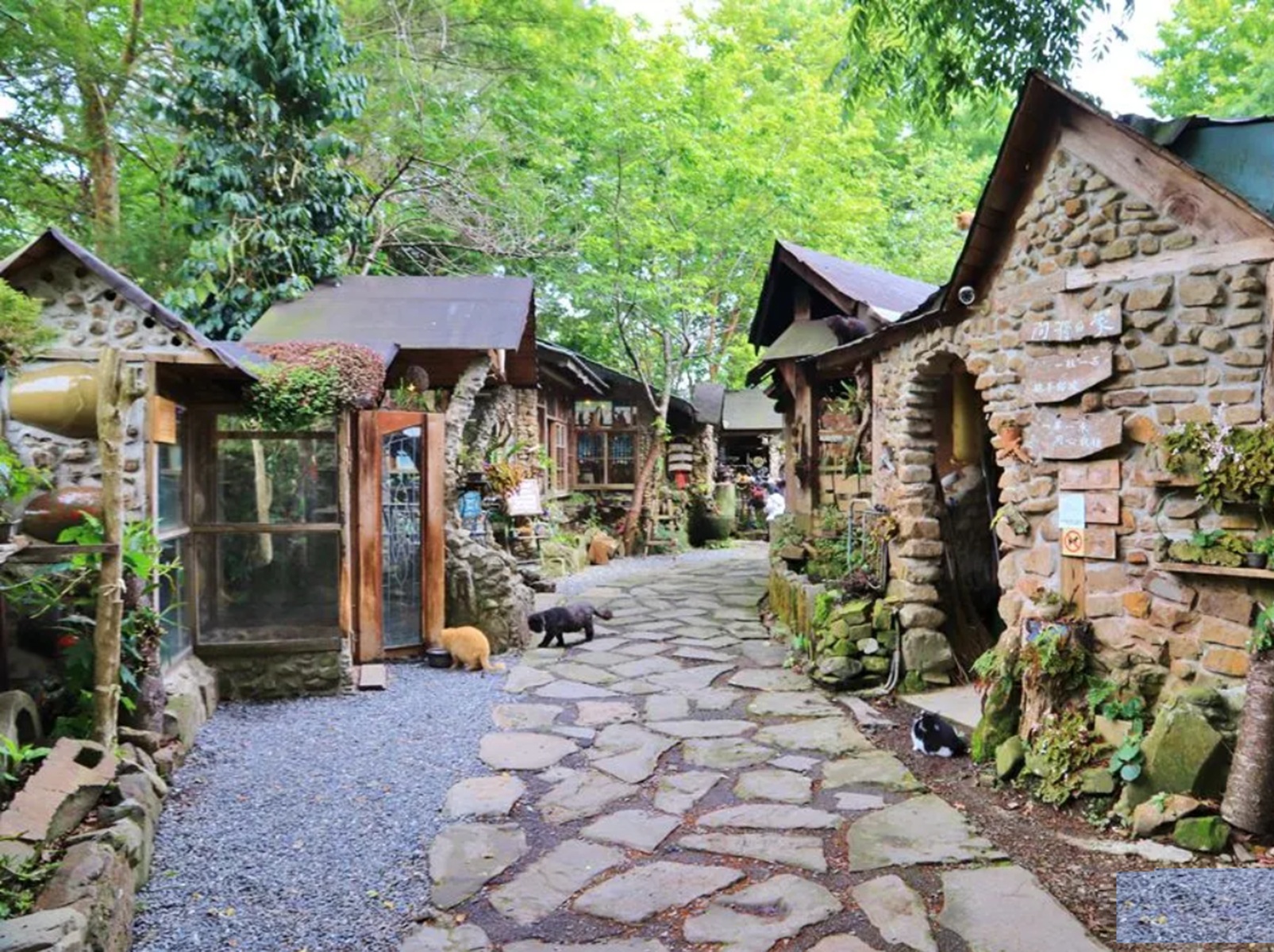 阿將的家23咖啡館