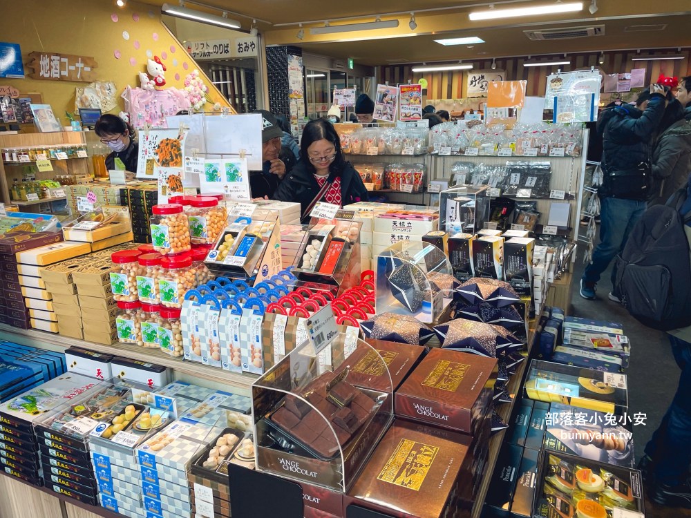 京都【天橋立傘松公園】四季景觀風景名勝，倒立平台、纜車和商店每樣都值得參訪