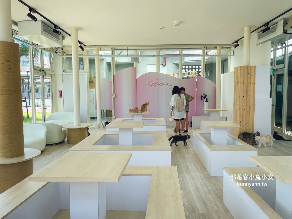 苗栗【苗栗火車頭園區】火車展館、搭小火車和貓咪館每項都好玩