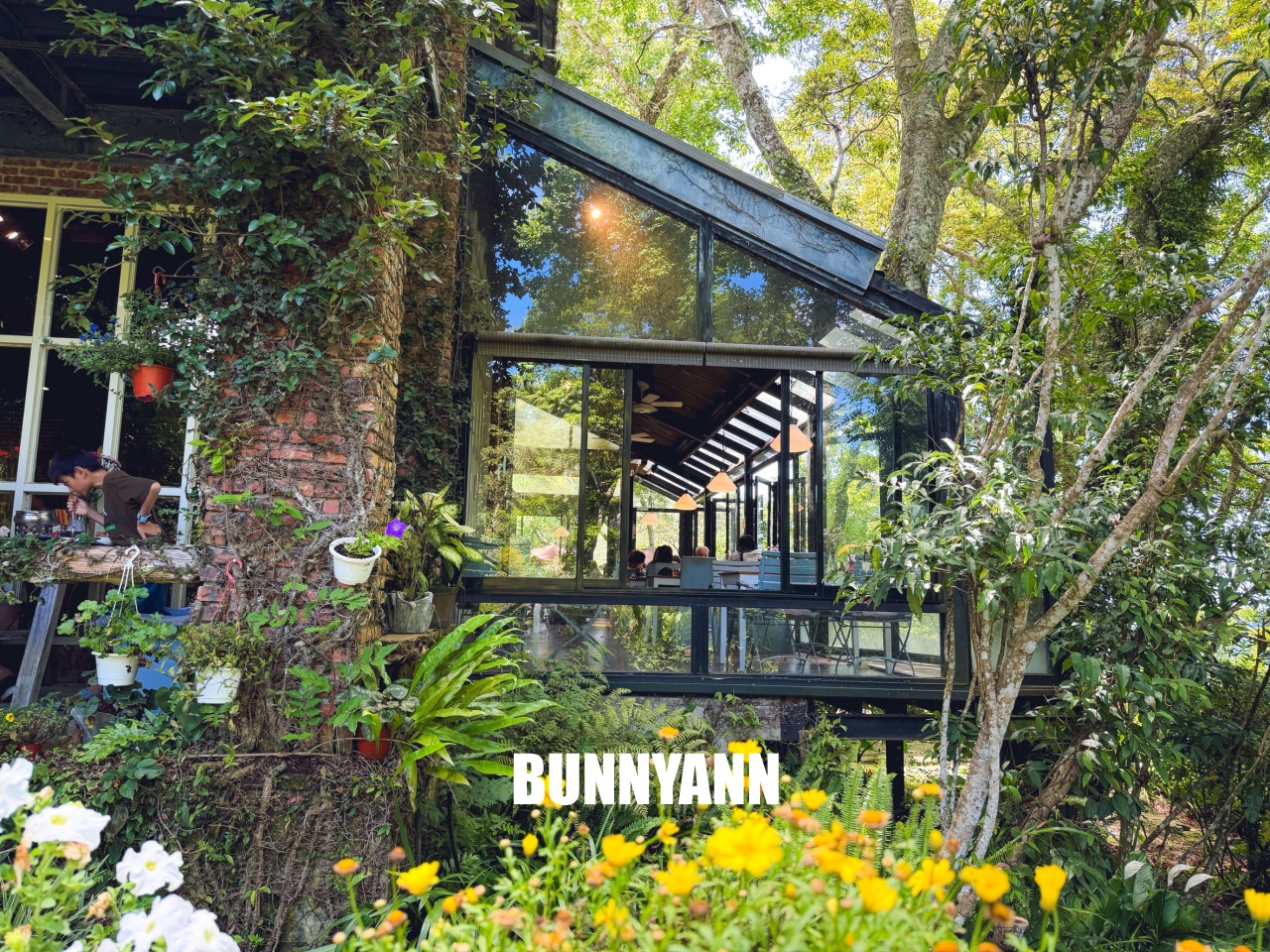 新竹【6號花園】深山祕密花園，玻璃屋內喝下午茶耍廢
