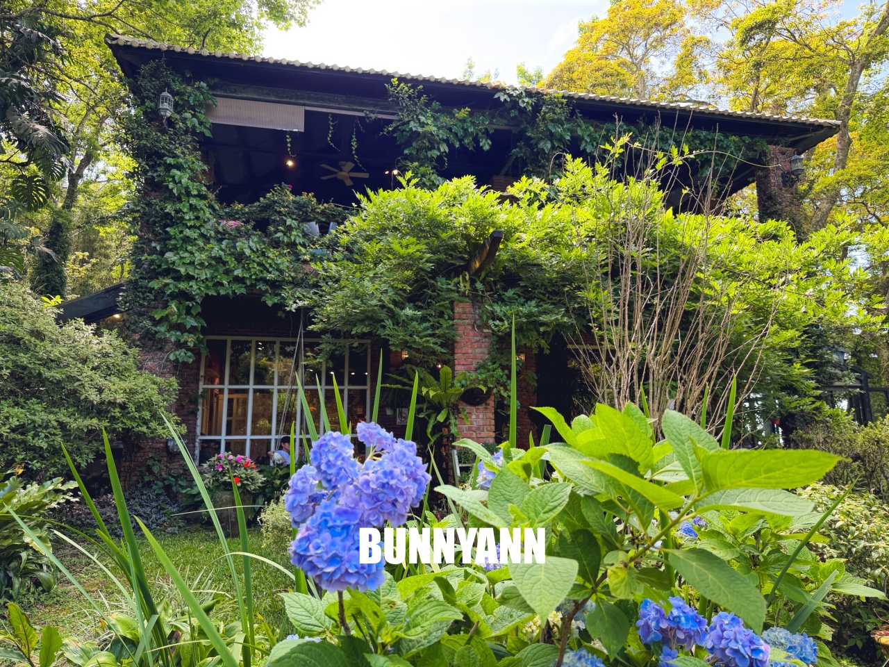 新竹【6號花園】深山祕密花園，玻璃屋內喝下午茶耍廢