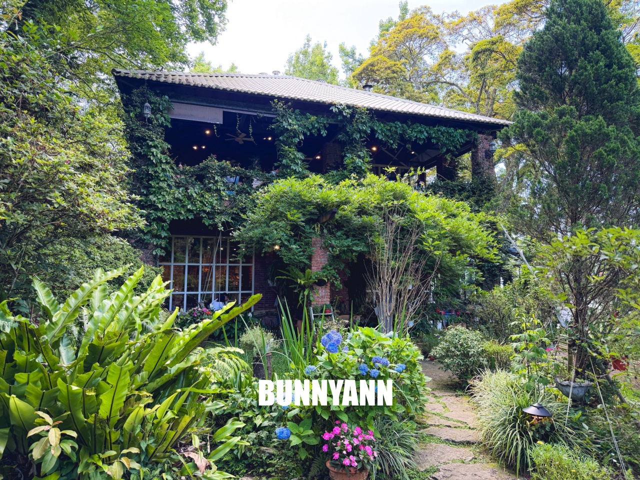 新竹【6號花園】深山祕密花園，玻璃屋內喝下午茶耍廢