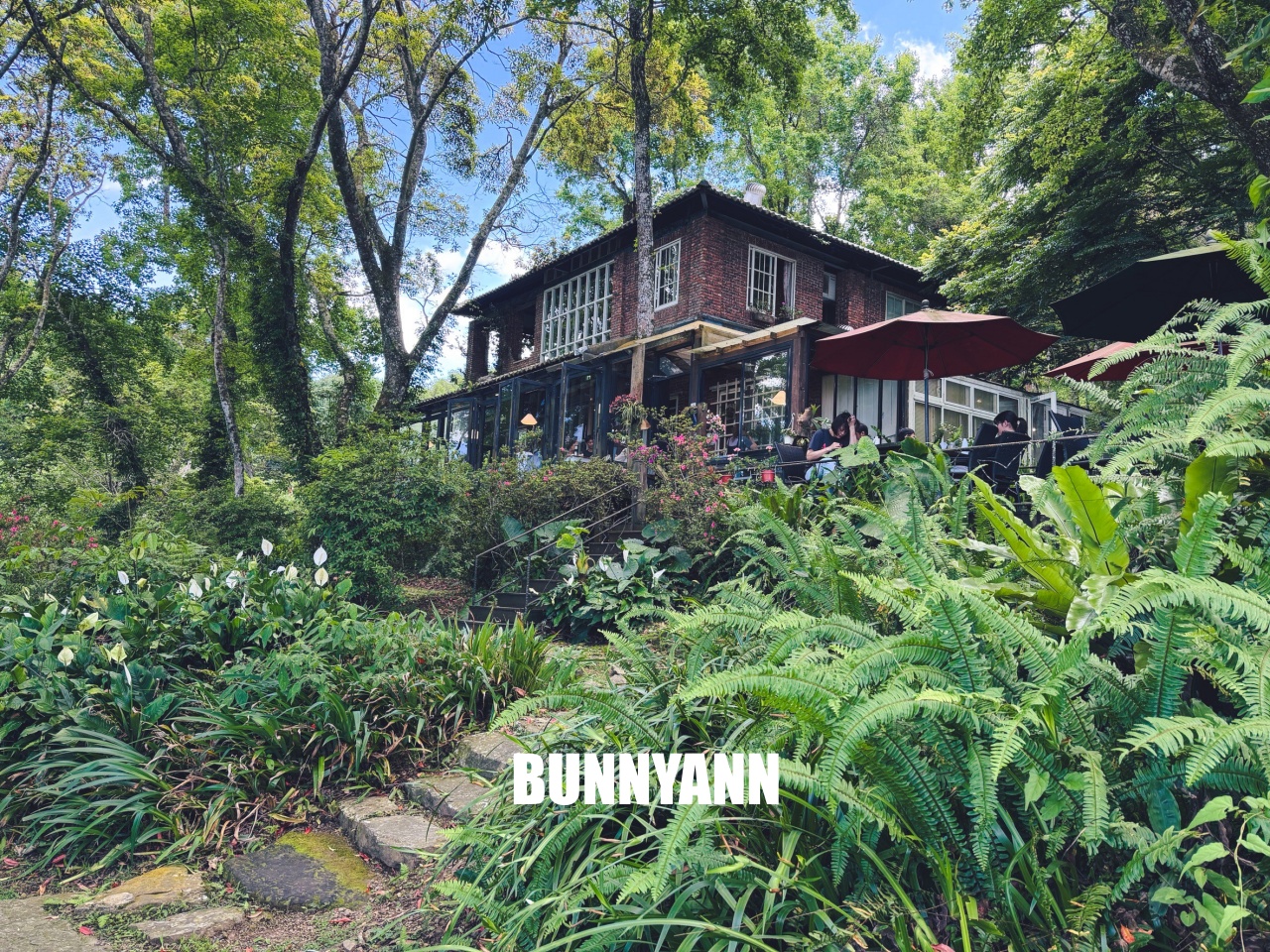 新竹【6號花園】深山祕密花園，玻璃屋內喝下午茶耍廢