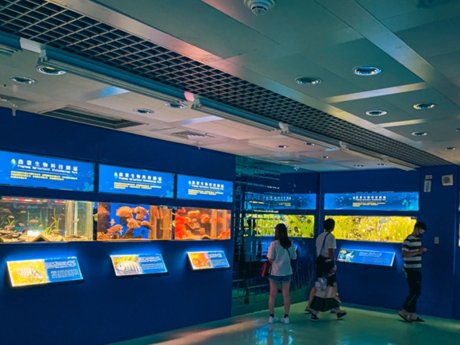 屏東【長治水族館】有很多稀奇古怪的魚類和蝦子，門票價格也很親民