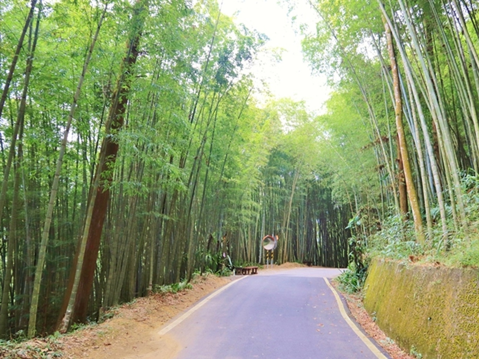 瑞里綠色隧道