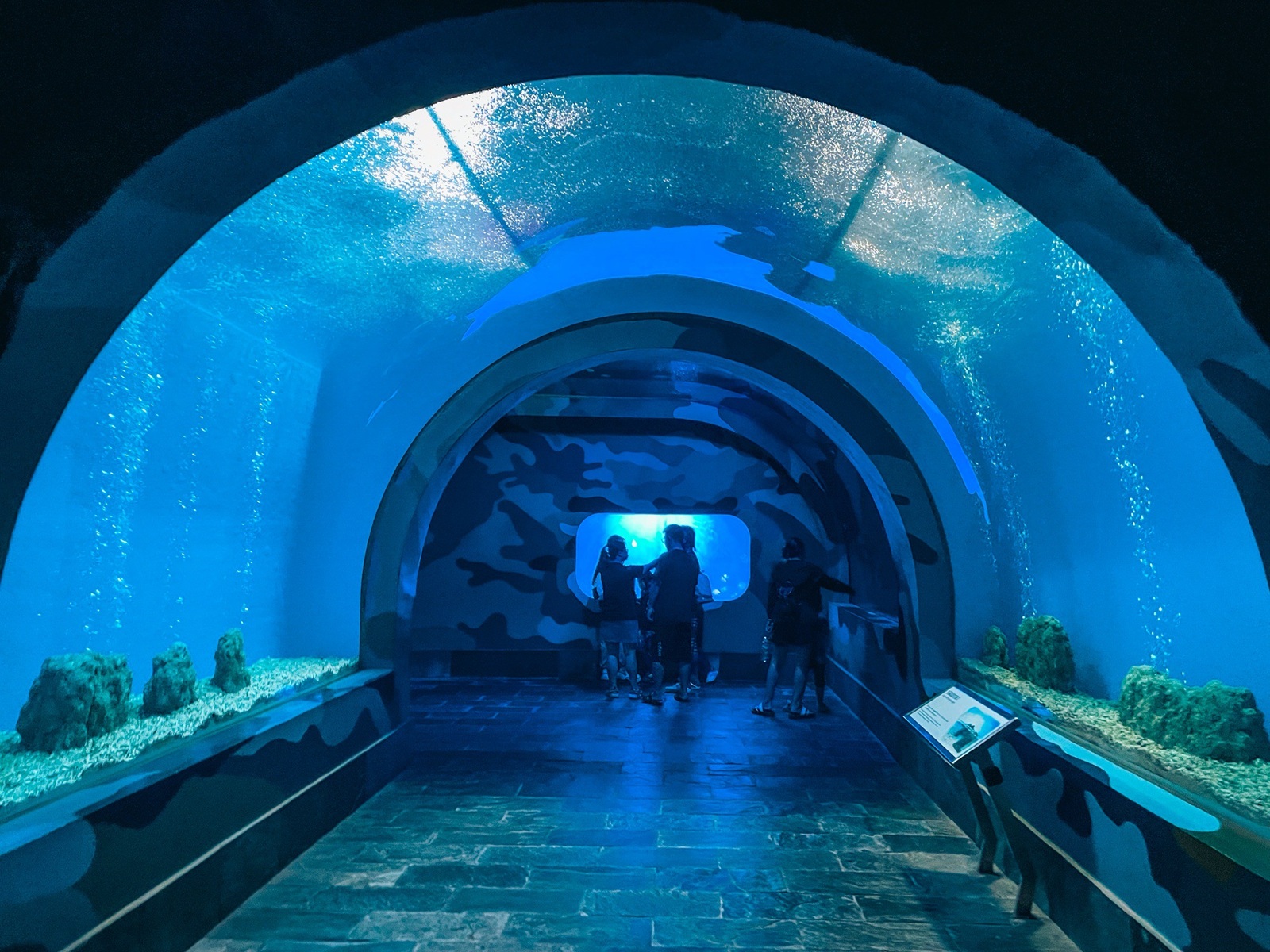 國立海洋生物博物館