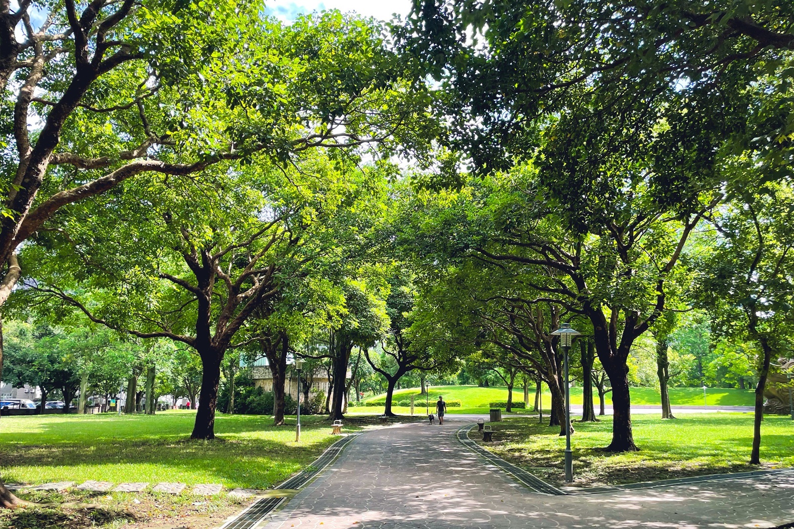 大溪埔頂公園