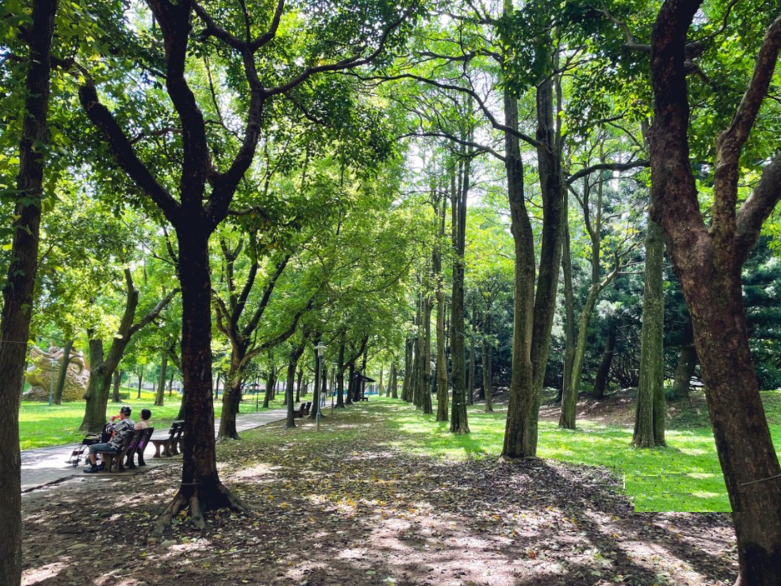 大溪埔頂公園
