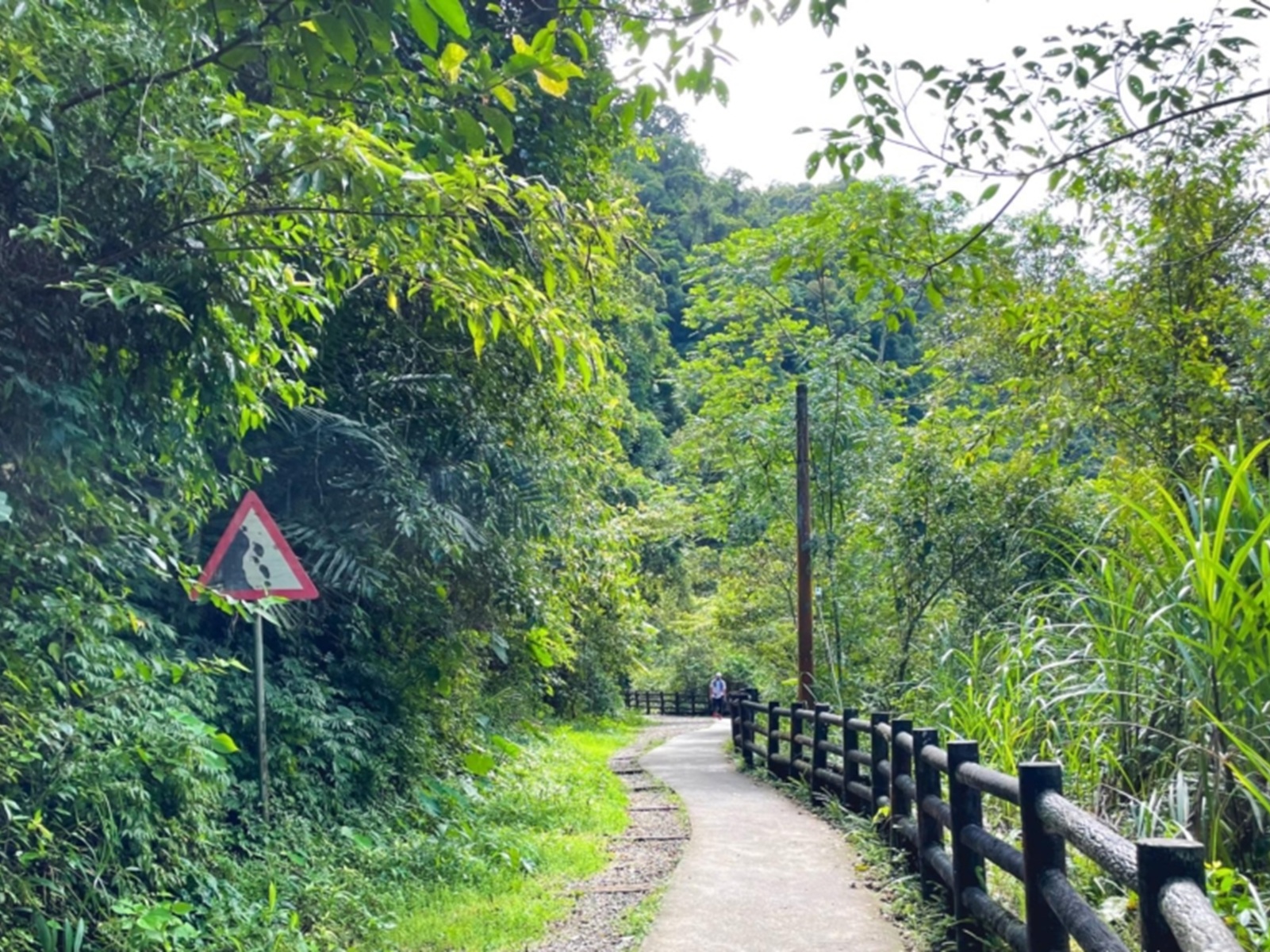 信賢步道