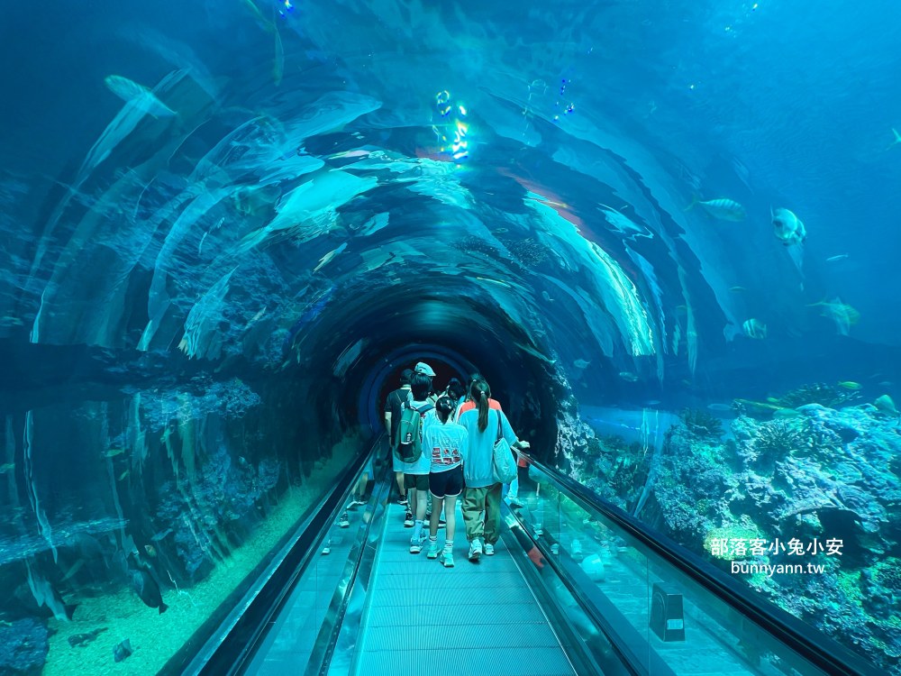 屏東【國立海洋生物博物館】走進海生館欣賞鯊魚、魟魚、各種魚類一次飽覽