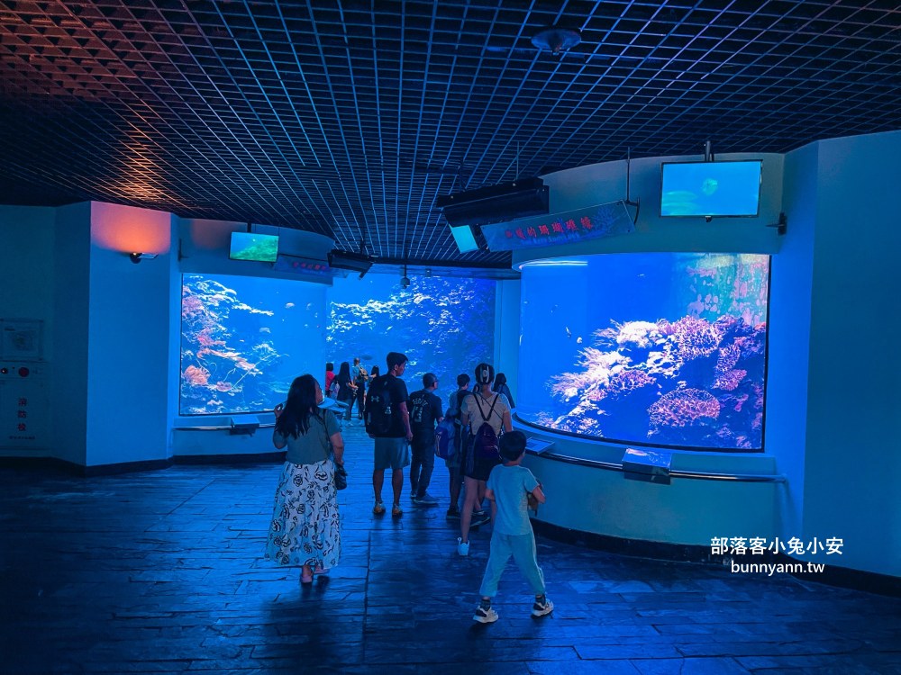 屏東【國立海洋生物博物館】走進海生館欣賞鯊魚、魟魚、各種魚類一次飽覽