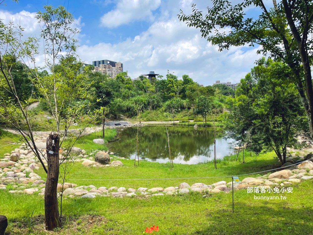 桃園【大湳森林公園】在地人才知道的秘境池畔後花園