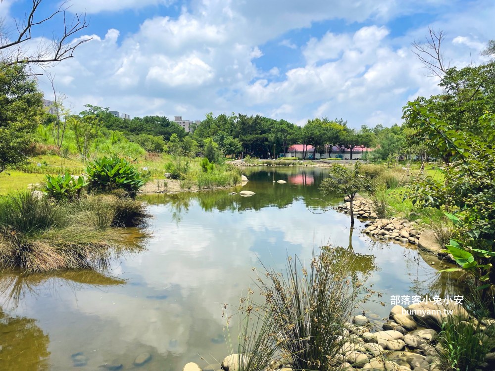 桃園【大湳森林公園】在地人才知道的秘境池畔後花園