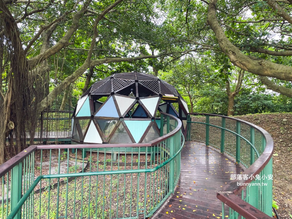 桃園【大溪埔頂公園】在地人才知道的秘境森林後花園