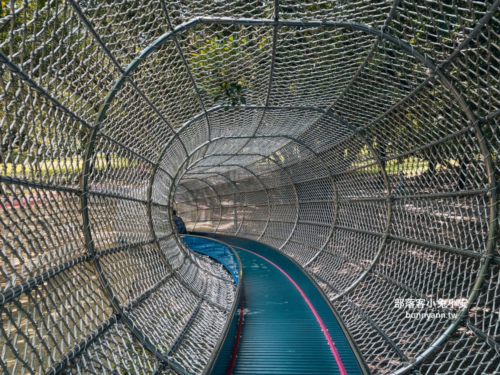 桃園【大溪埔頂公園】在地人才知道的秘境森林後花園