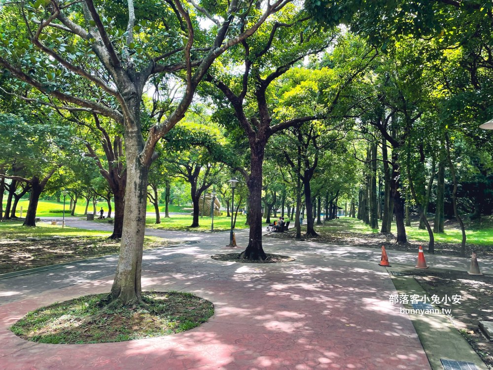 桃園【大溪埔頂公園】在地人才知道的秘境森林後花園