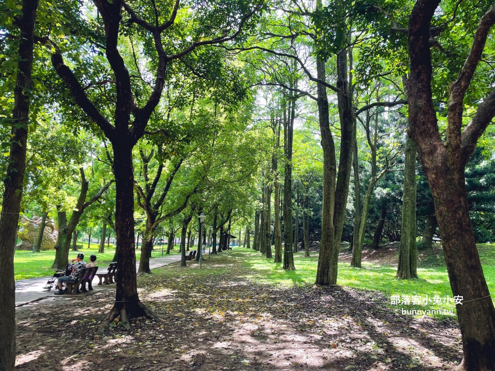 桃園【大溪埔頂公園】在地人才知道的秘境森林後花園