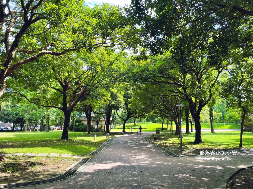 桃園【大溪埔頂公園】在地人才知道的秘境森林後花園