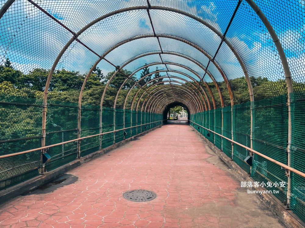 桃園【大溪埔頂公園】在地人才知道的秘境森林後花園