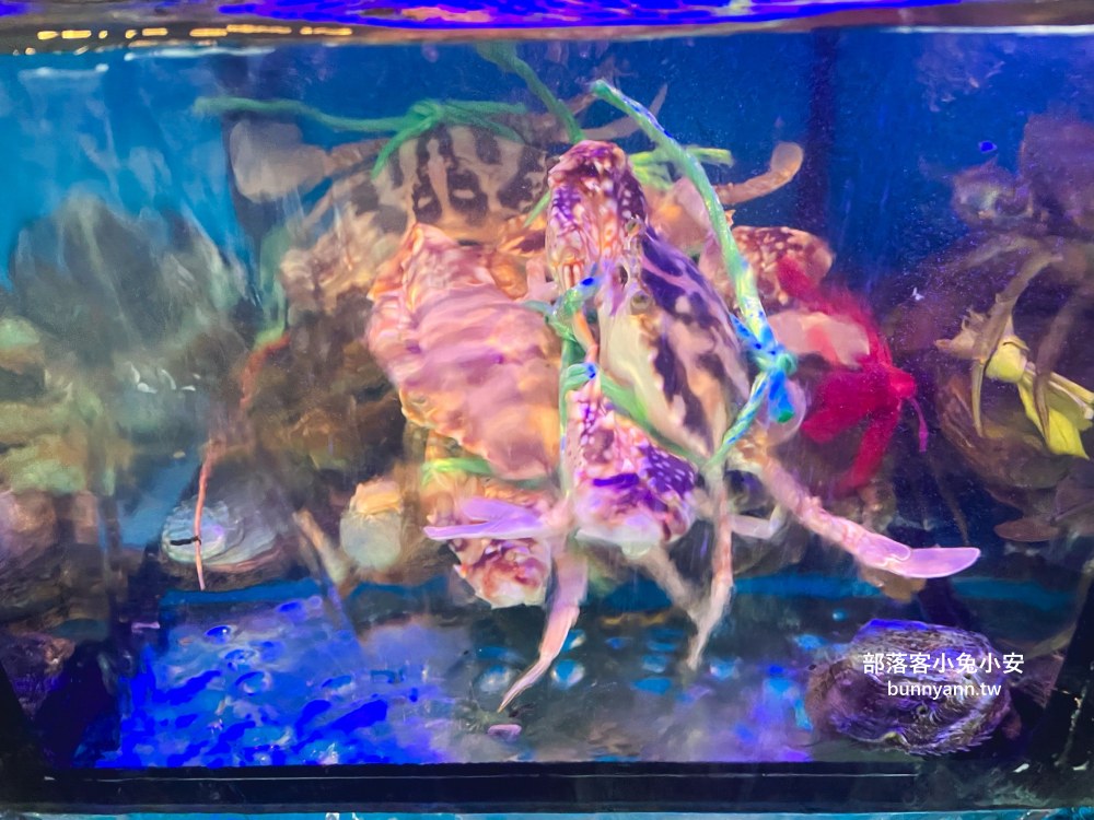 宜蘭【小豪海鮮】不起眼鐵皮屋，卻是平價又新鮮海產店