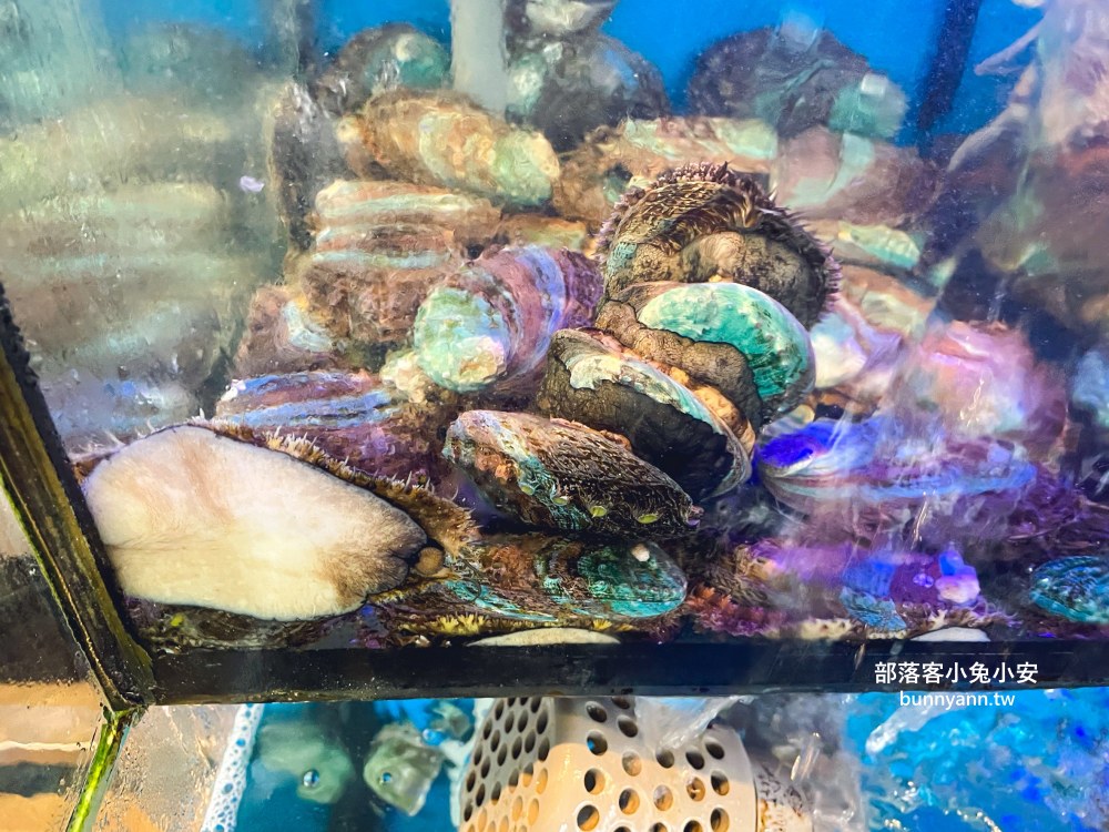 宜蘭【小豪海鮮】不起眼鐵皮屋，卻是平價又新鮮海產店