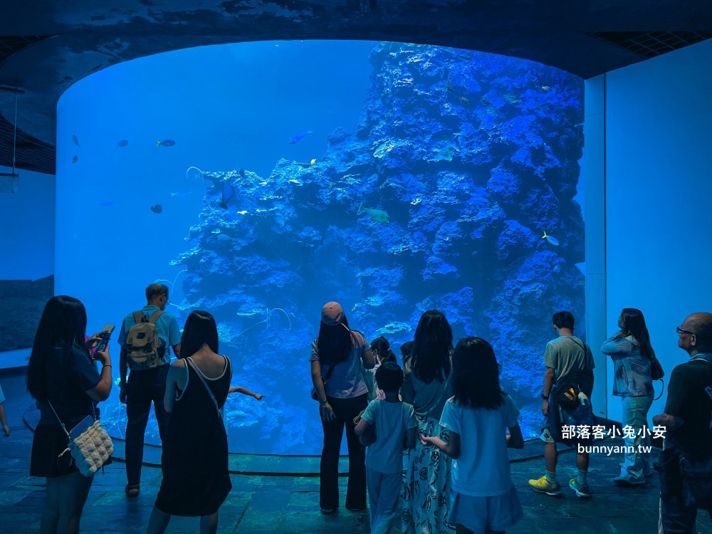 【國立海洋生物博物館】屏東海生館，進走海底龍宮欣賞鯊魚、魟魚、各種魚全飽覽