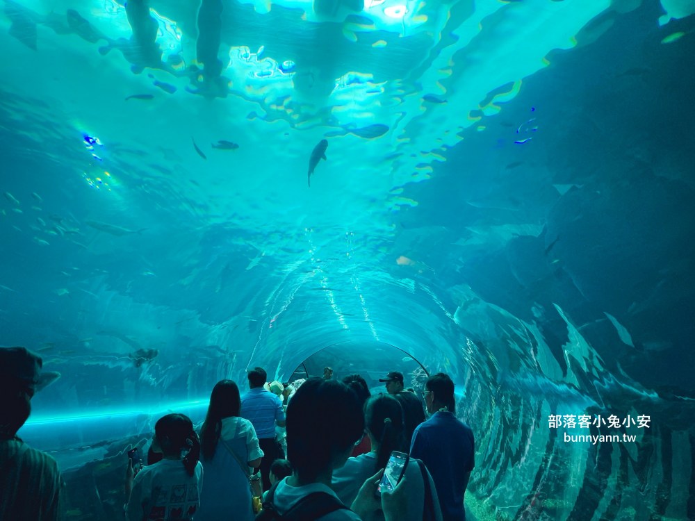 【國立海洋生物博物館】屏東海生館，進走海底龍宮欣賞鯊魚、魟魚、各種魚全飽覽