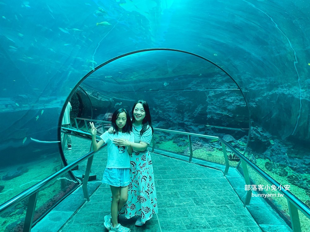 【國立海洋生物博物館】屏東海生館，進走海底龍宮欣賞鯊魚、魟魚、各種魚全飽覽