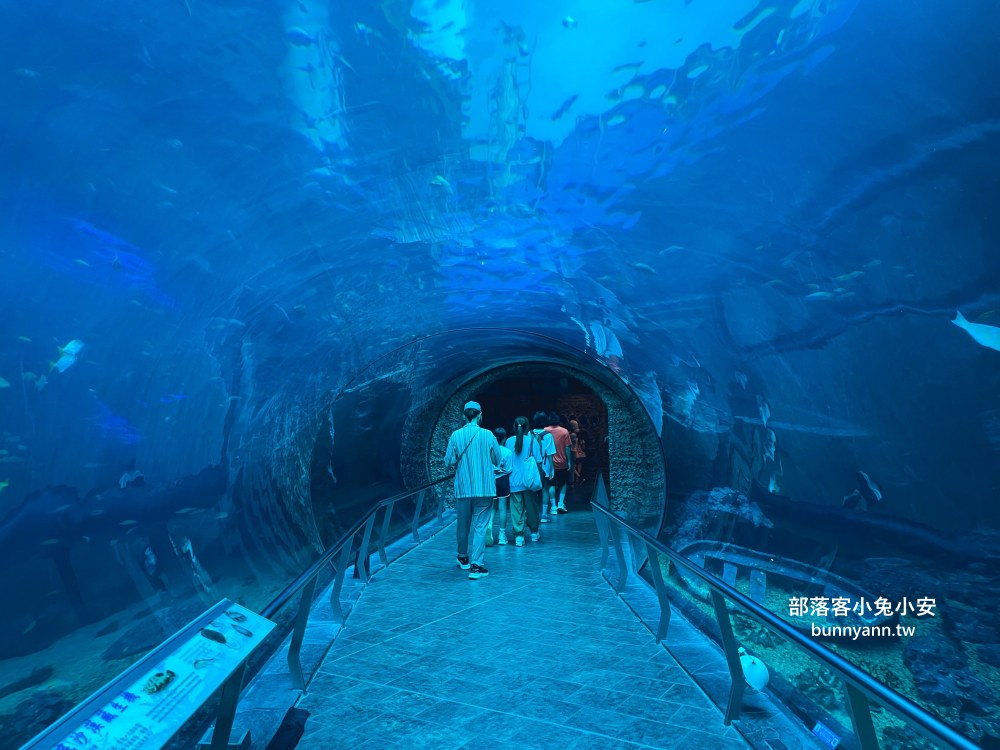 【國立海洋生物博物館】屏東海生館，進走海底龍宮欣賞鯊魚、魟魚、各種魚全飽覽