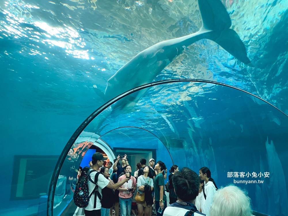 【國立海洋生物博物館】屏東海生館，進走海底龍宮欣賞鯊魚、魟魚、各種魚全飽覽