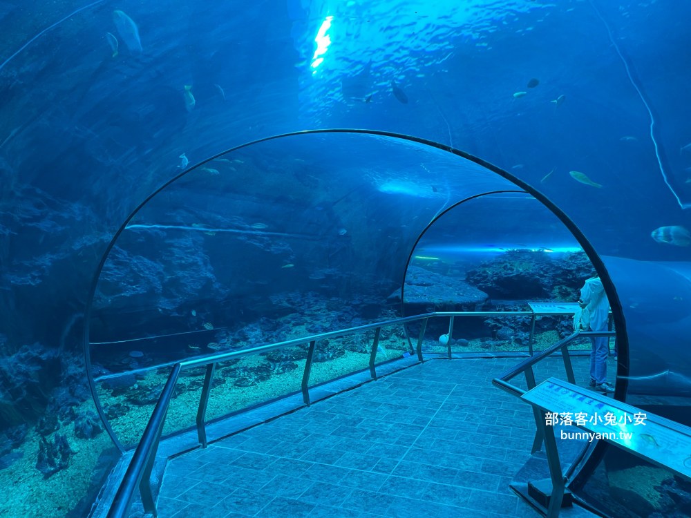 【國立海洋生物博物館】屏東海生館，進走海底龍宮欣賞鯊魚、魟魚、各種魚全飽覽
