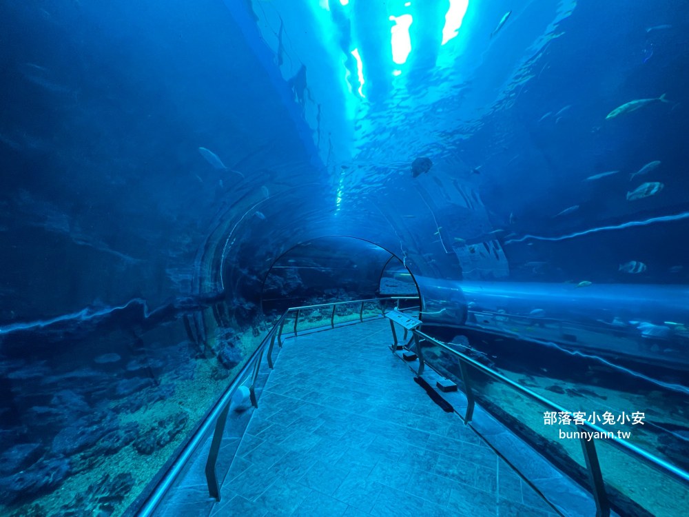【國立海洋生物博物館】屏東海生館，進走海底龍宮欣賞鯊魚、魟魚、各種魚全飽覽
