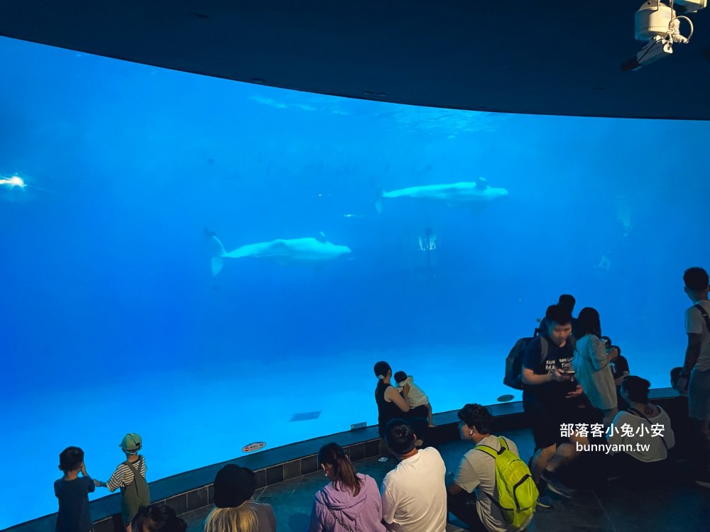 【國立海洋生物博物館】屏東海生館，進走海底龍宮欣賞鯊魚、魟魚、各種魚全飽覽