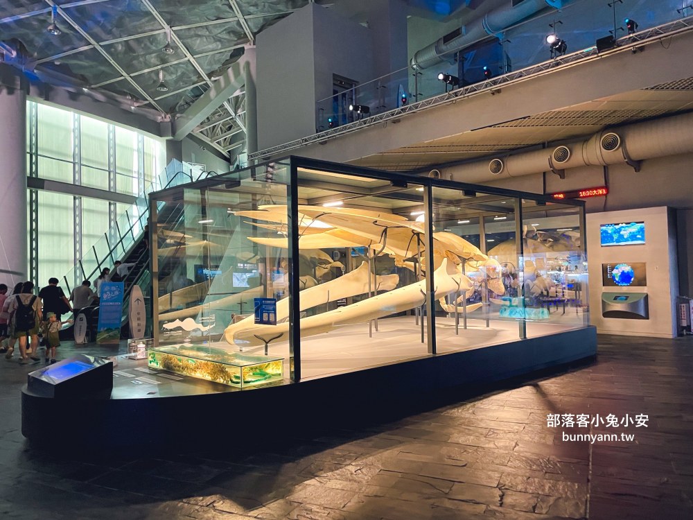【國立海洋生物博物館】屏東海生館，進走海底龍宮欣賞鯊魚、魟魚、各種魚全飽覽