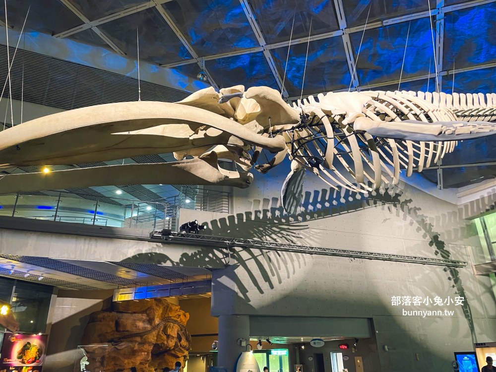 【國立海洋生物博物館】屏東海生館，進走海底龍宮欣賞鯊魚、魟魚、各種魚全飽覽