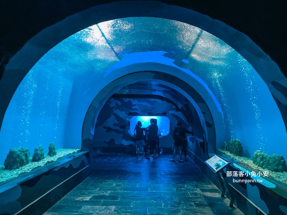 【國立海洋生物博物館】屏東海生館，進走海底龍宮欣賞鯊魚、魟魚、各種魚全飽覽