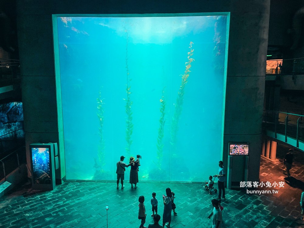 【國立海洋生物博物館】屏東海生館，進走海底龍宮欣賞鯊魚、魟魚、各種魚全飽覽