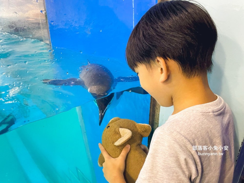 【國立海洋生物博物館】屏東海生館，進走海底龍宮欣賞鯊魚、魟魚、各種魚全飽覽