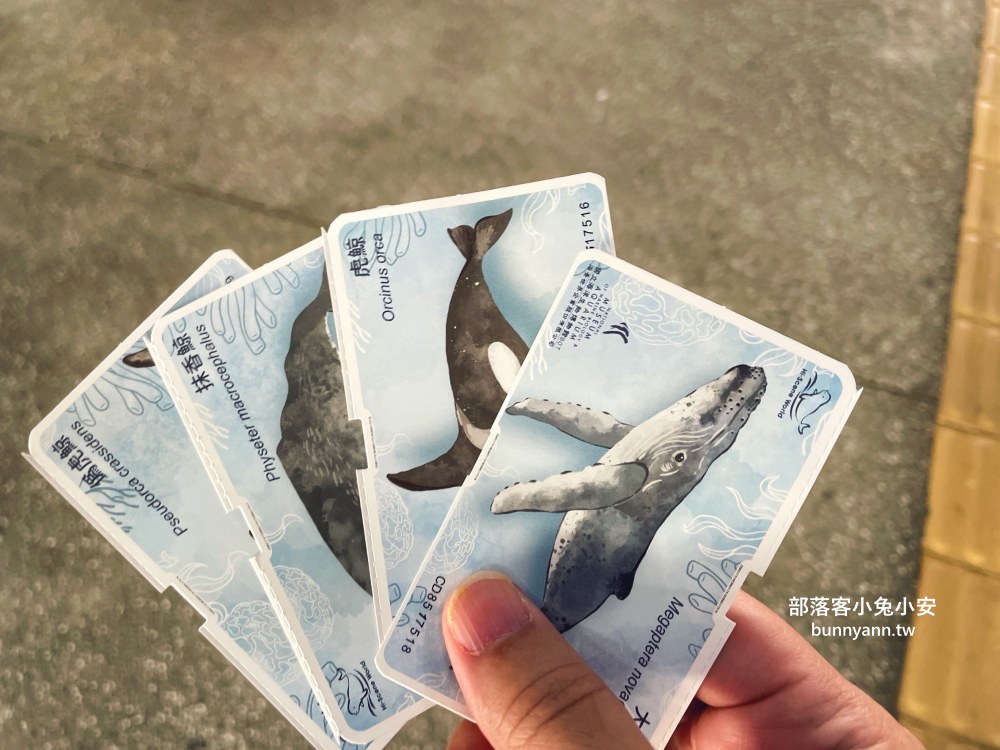 【國立海洋生物博物館】屏東海生館，進走海底龍宮欣賞鯊魚、魟魚、各種魚全飽覽