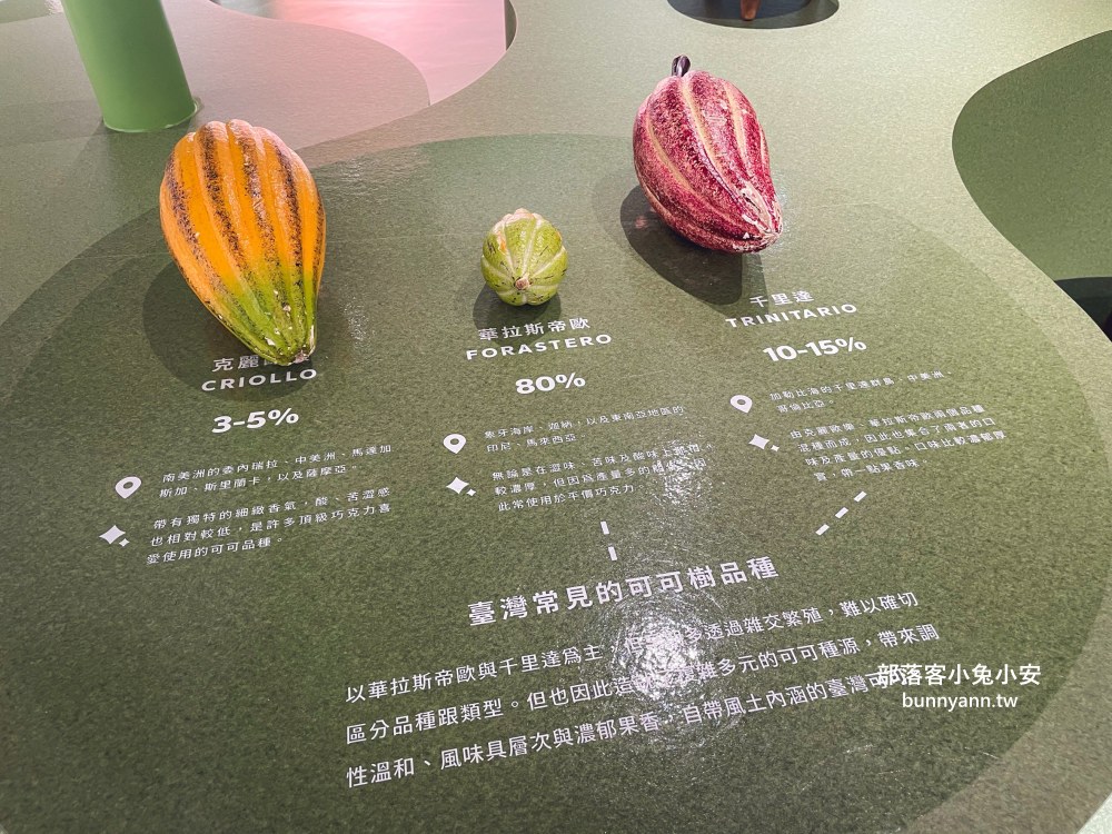 桃園【77巧克力共和國】門票300元體驗DIY甜甜圈與購買巧克力商品