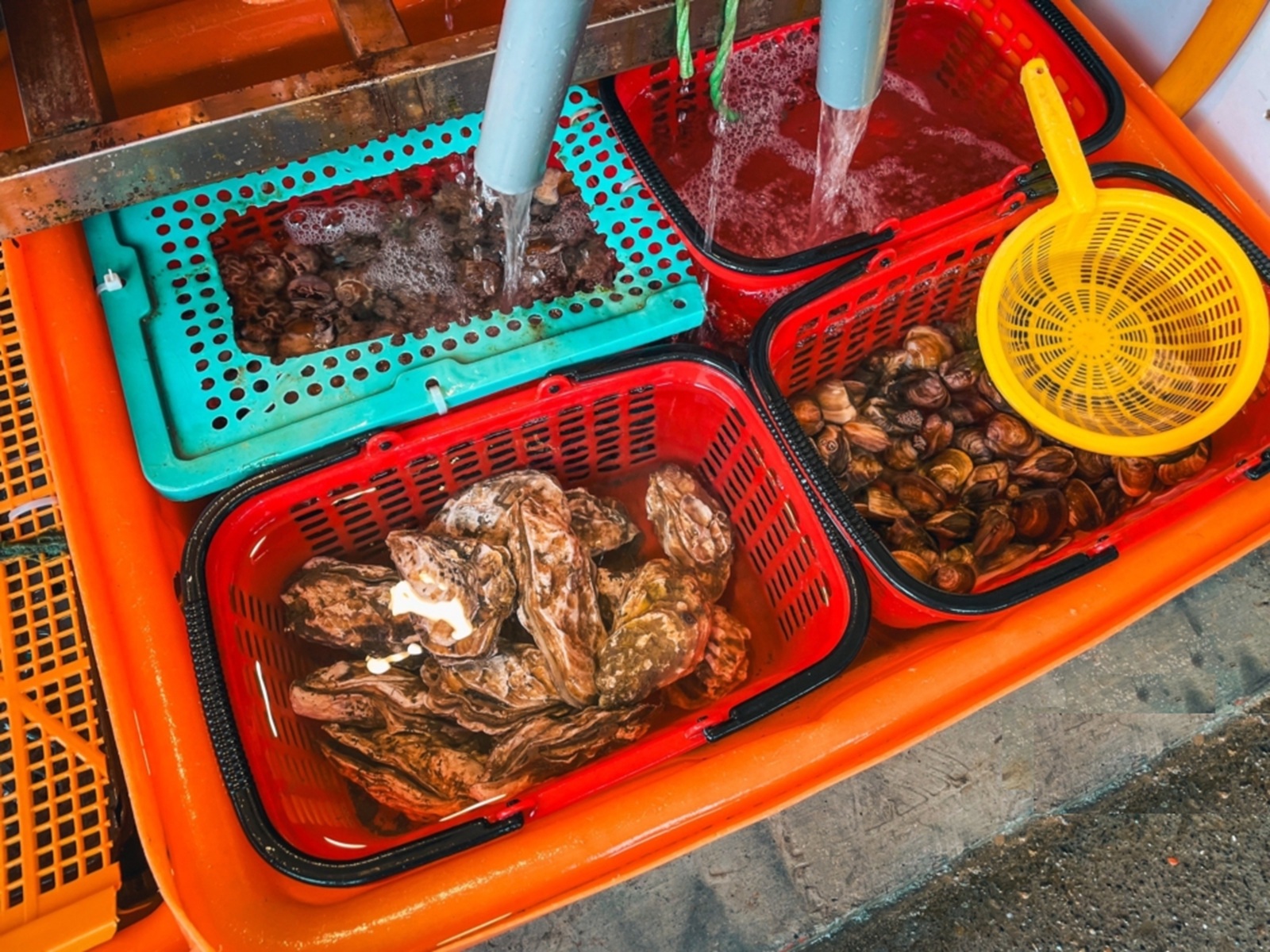 大樹下活海鮮