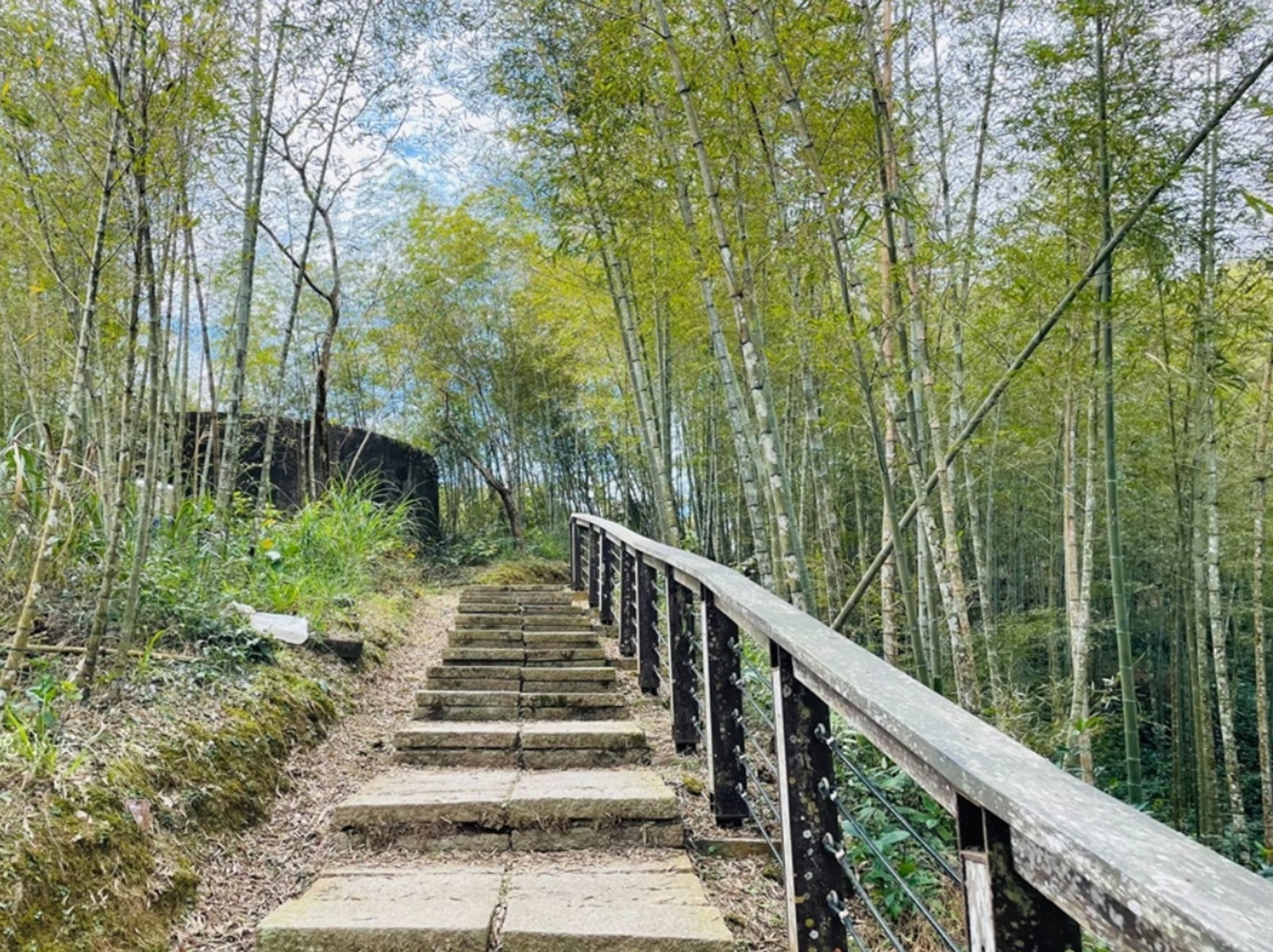 嘉義【孝子路步道】來回不用半小時輕鬆賞山嵐美景與吊橋景色