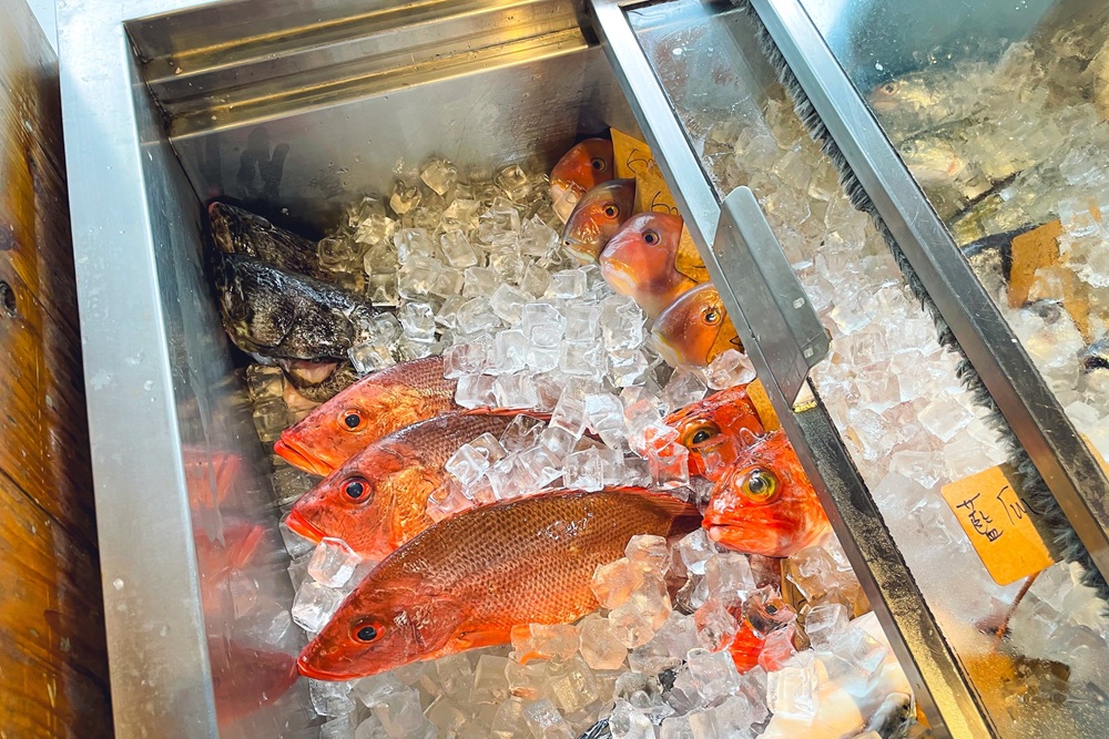 宜蘭【小豪海鮮】不起眼鐵皮屋，卻是平價又新鮮海產店