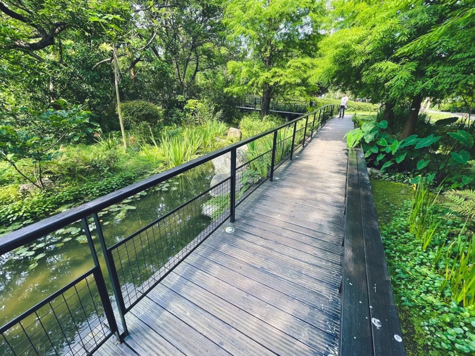 台北【大安森林公園】城市裡的湖畔步道，親子遊戲區超級好玩