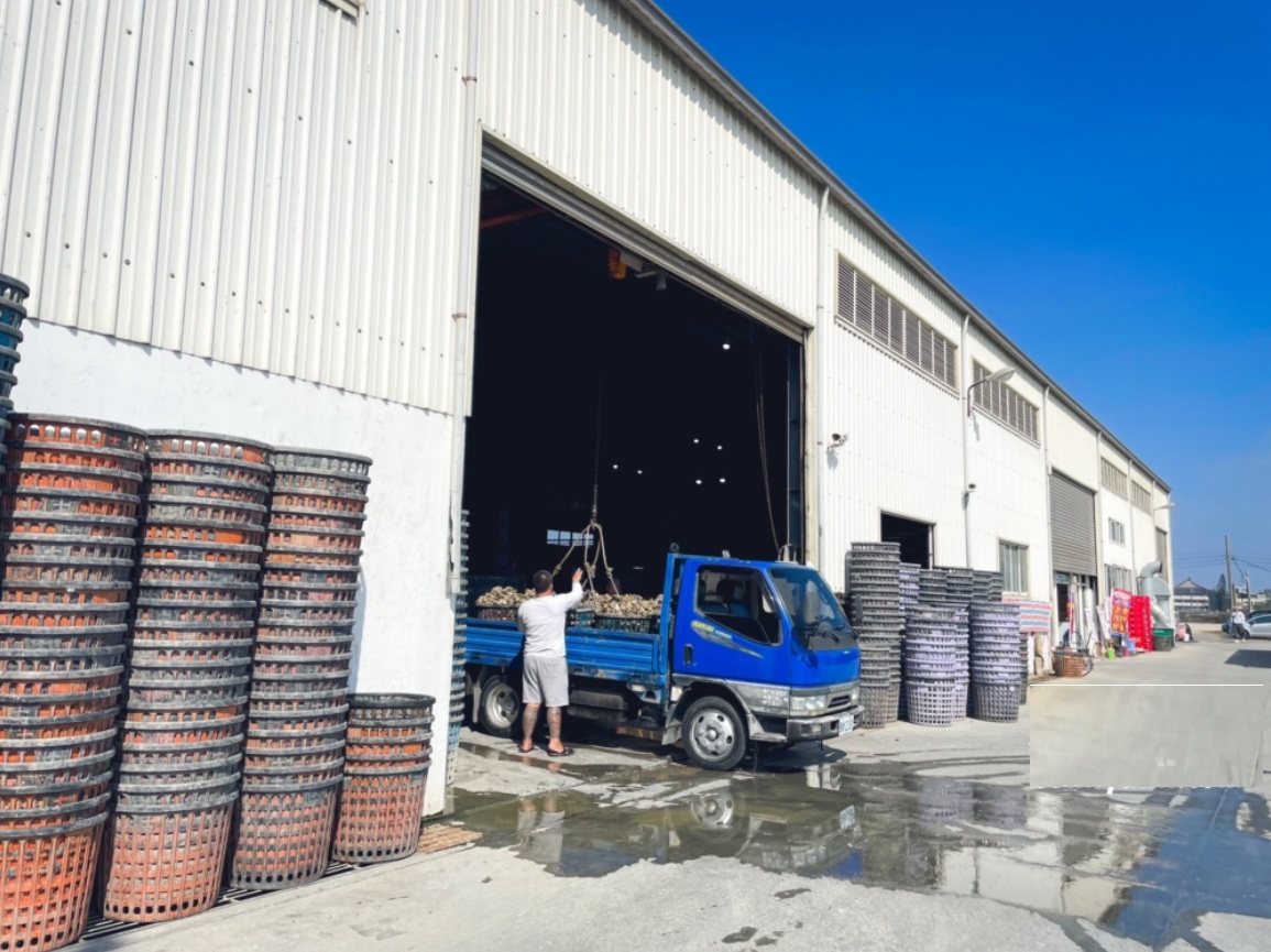 鯛抵嘉海鮮吃到飽【季津全蚵宴】全國首創全蚵料理吃到飽