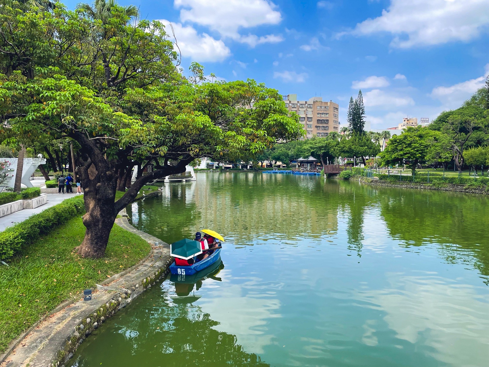 【臺中公園】台中市區唯一可以划算的湖泊森林園區