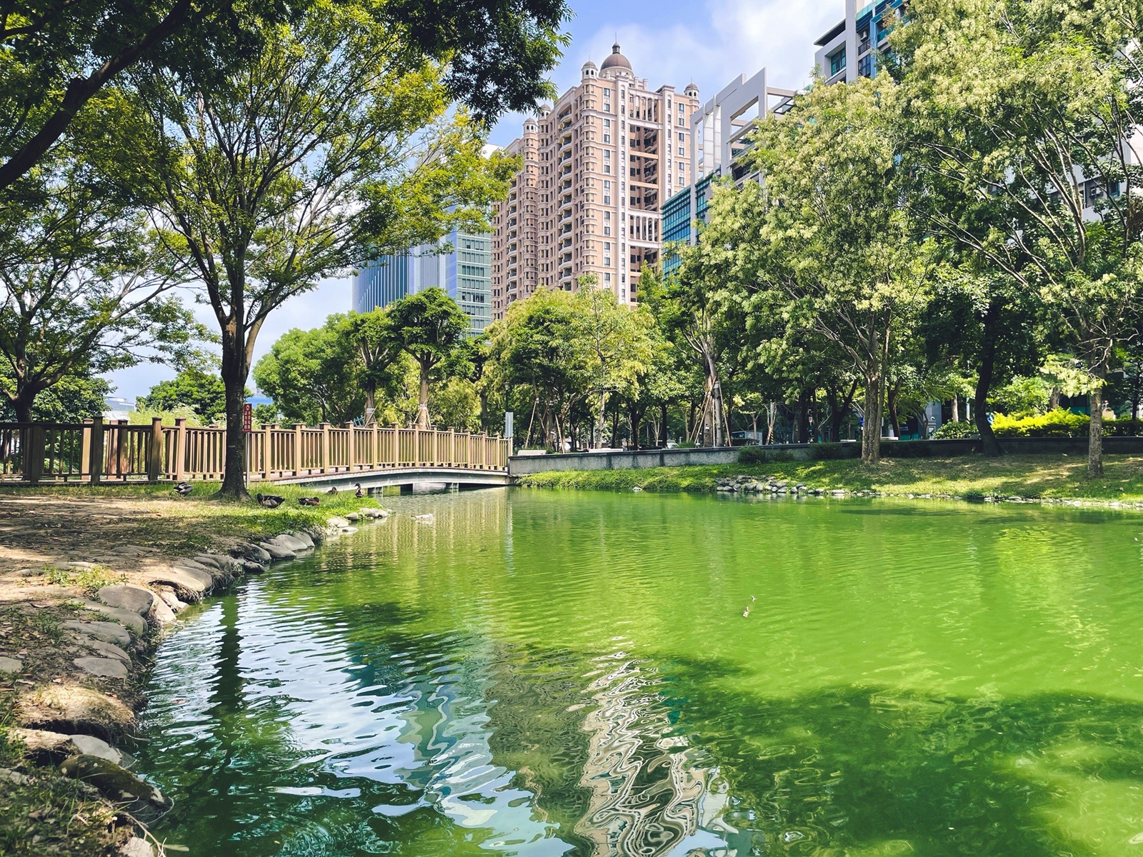 竹北【水圳森林公園】繞著碧綠湖水的步道，來回半小時輕鬆走完。