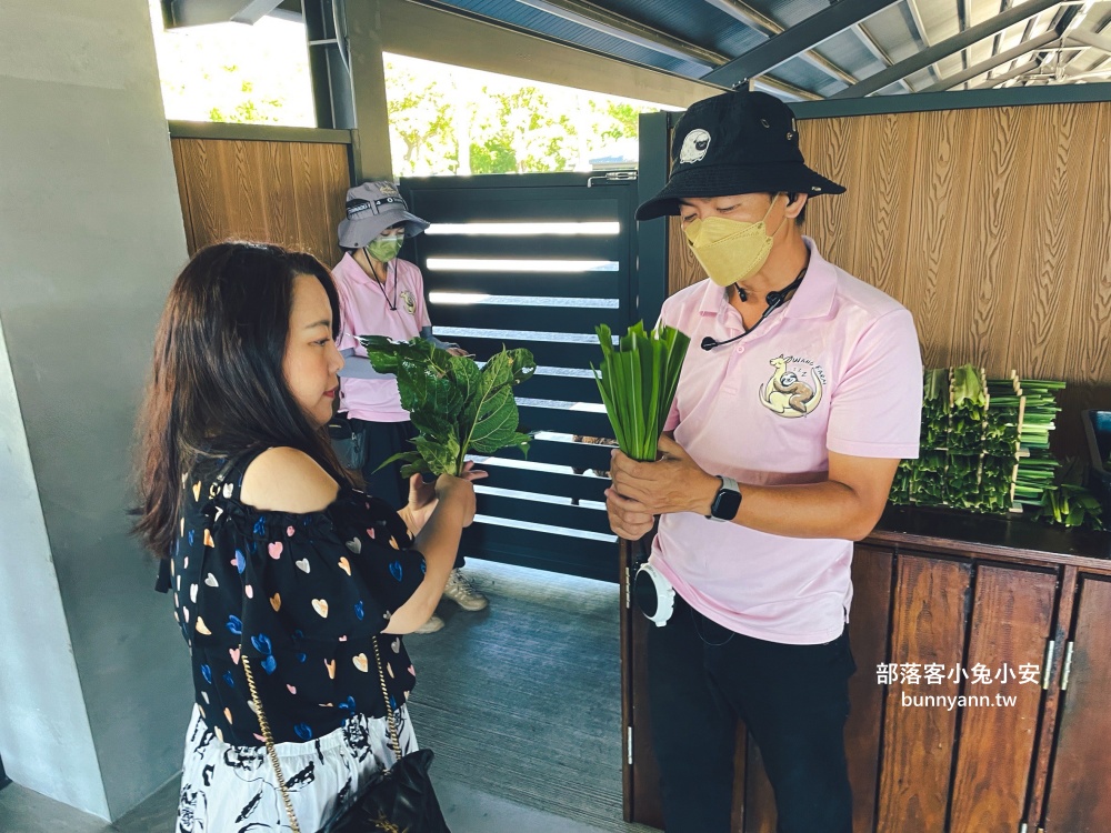 三星鄉【宜蘭樹懶餐廳】張美阿嬤農場2.0版，可愛泰迪羊萌力爆發