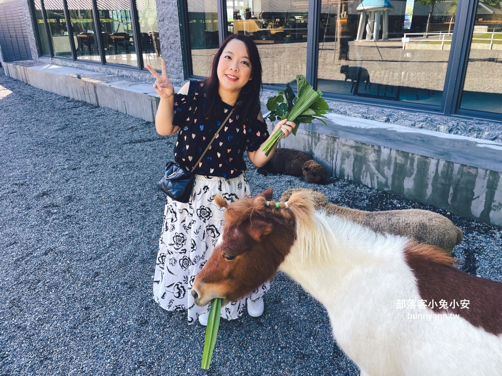 三星鄉【宜蘭樹懶餐廳】張美阿嬤農場2.0版，可愛泰迪羊萌力爆發